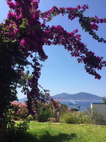 Appart 8 Pers Vue Sur Baie - Porticcio Porticcio (Corsica) Exterior foto